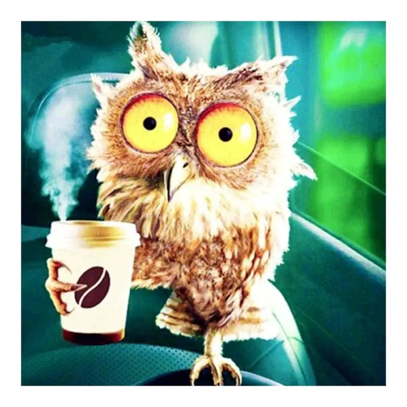 

Diamond 5D DIY "Drink coffee owl" Embroidery for Cross Stitch R