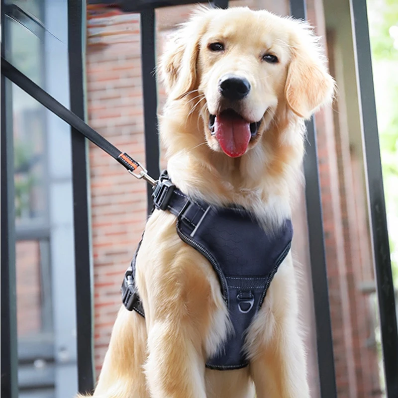 

Поводок для собак среднего и большого размера, веревка для собак, лабрадор, для прогулок с собакой, нагрудный ремень, предметы искусственног...