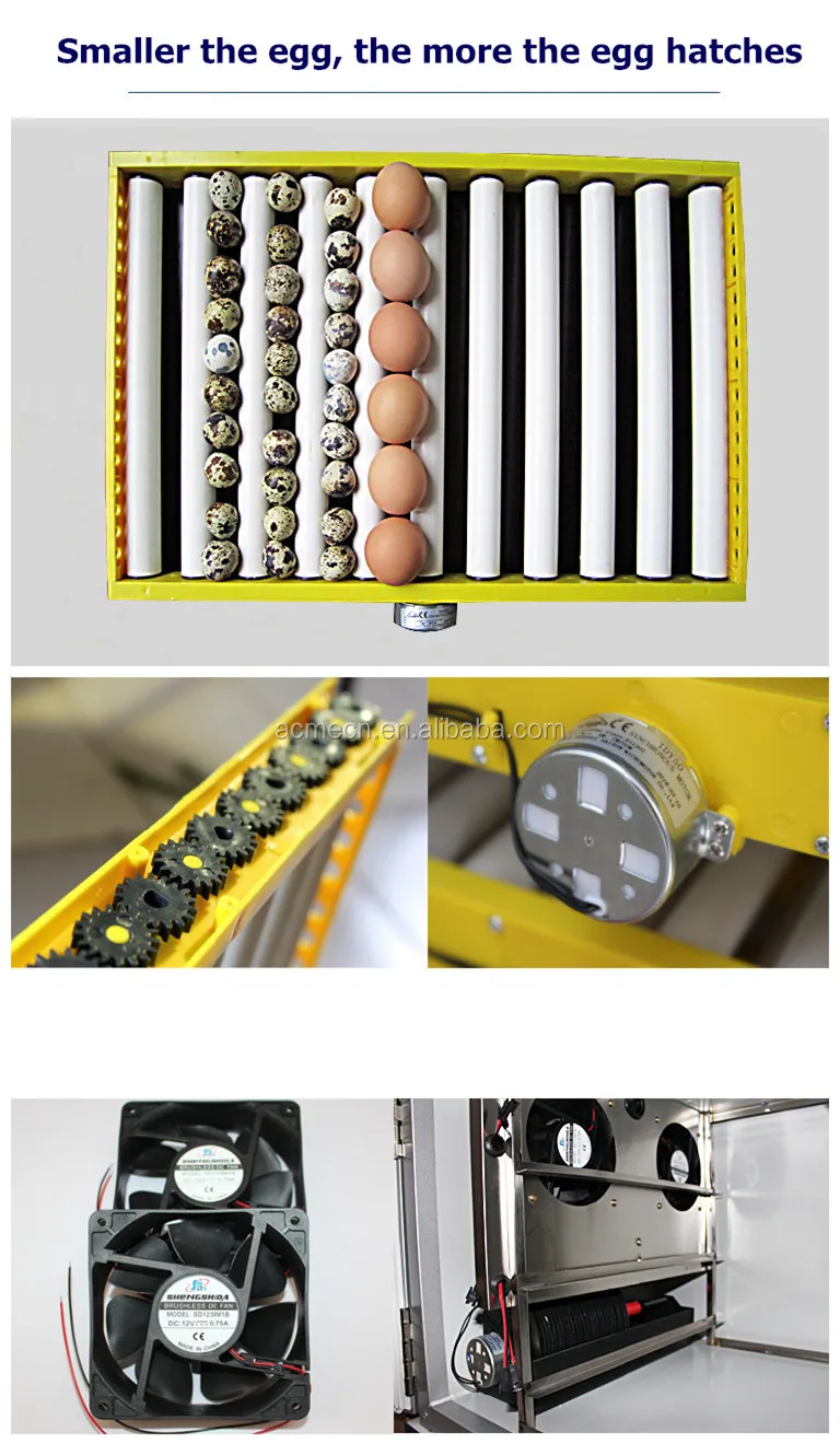 Высококачественный отечественный инкубатор ACME поставщики в Китае