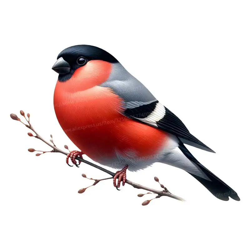 

Съемная наклейка на стену "Сорока с животными" S438