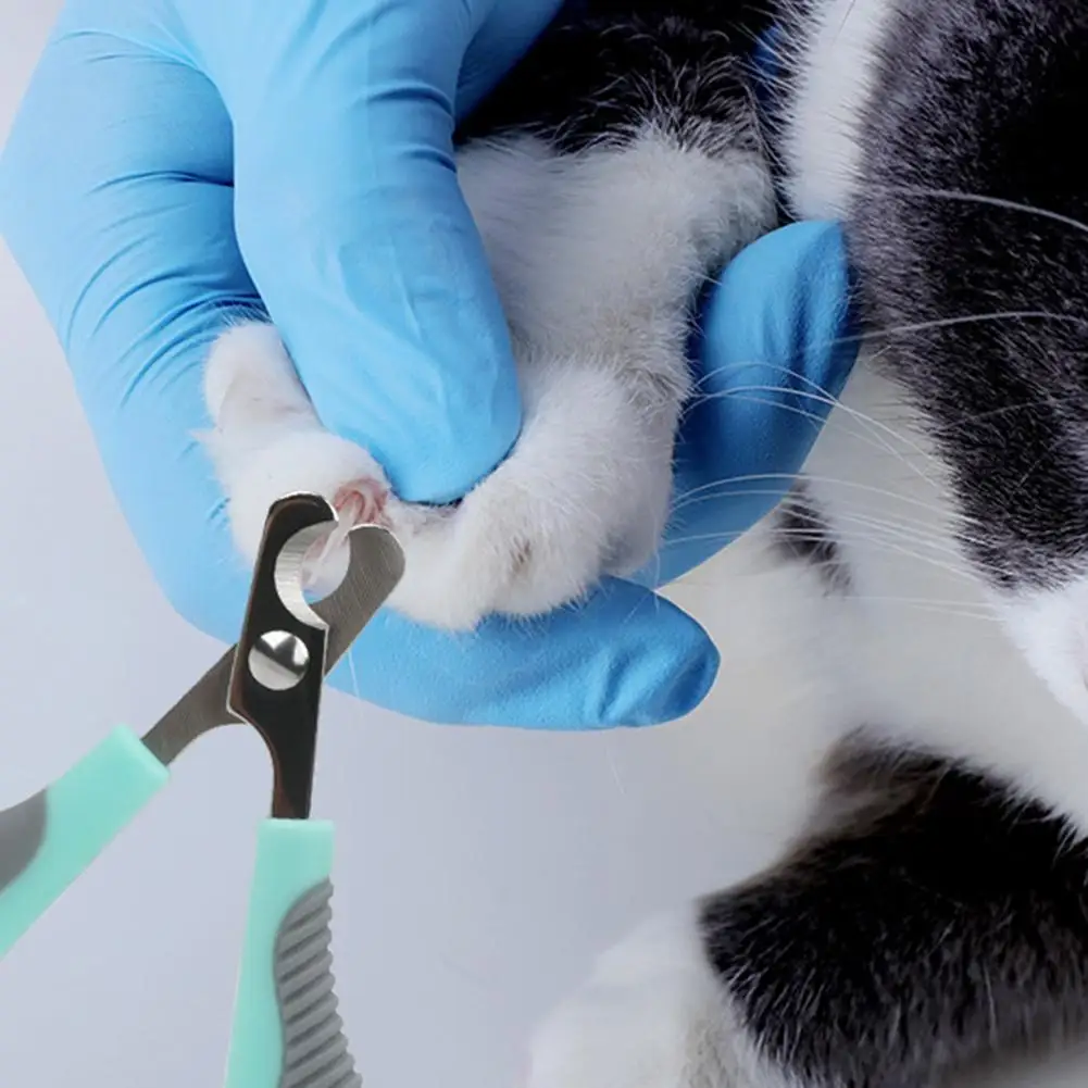 

Pet Cats Professional Nail Clipper Nail File Two-piece Set Pet Nail Scissors For Paws Grooming