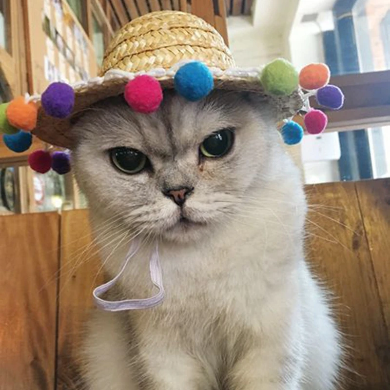 

Pet Woven Straw Hat Fashion for Cat Sun Hat Sombrero for Small Dogs and Cats Beach Party Straw Costume Accessories to Act Cute