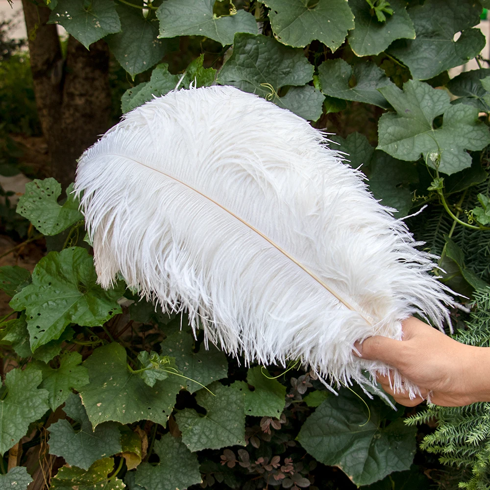 

10/50/100/500pcs White Ostrich Feathers 20-70cm Large Feather Crafts for Wedding Party Table Centerpieces Aesthetic Decoration