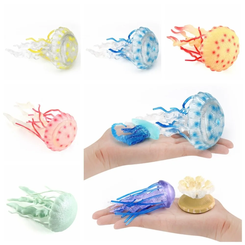 

Solid Ocean Animal Figurine Marine Animals multi-colored Realistic Ocean Action Figure Plastic Lifelike Sea Life Model