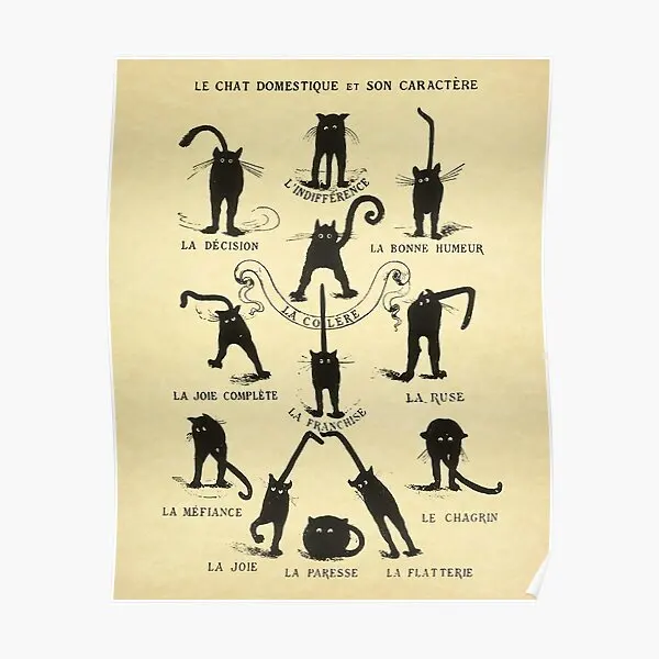 

Le Chat Domestique Et Son Caractere Poster Picture Home Room Funny Art Mural Wall Painting Modern Vintage Print No Frame