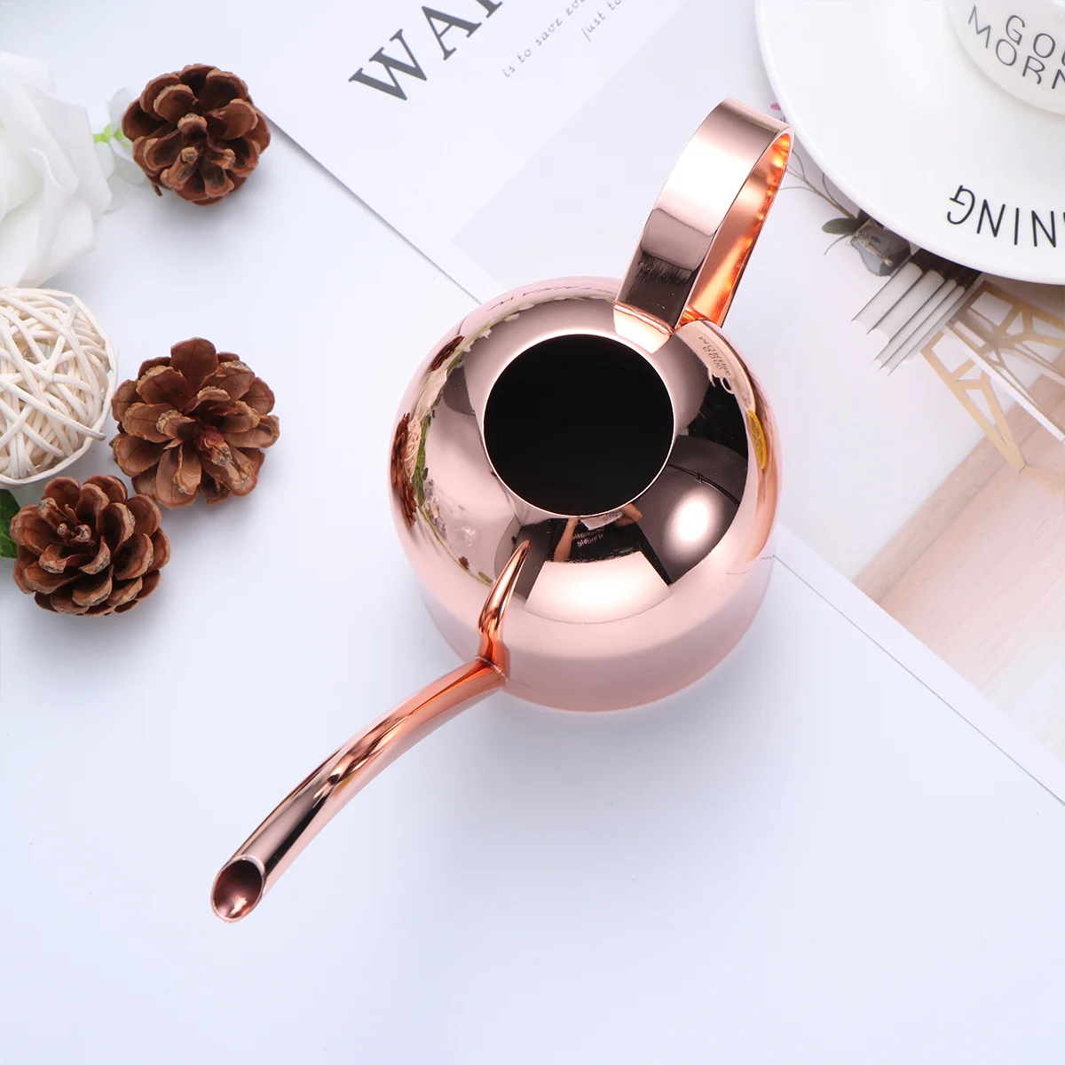 

1PC Watering Kettle Long Mouth Flower Plants Succulents Holder Gardening Tool Device
