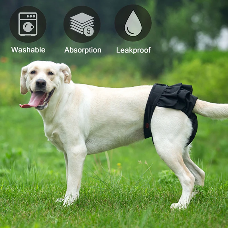 Pantalones fisiológicos reutilizables para mascotas, bragas sanitarias lavables para perros medianos y grandes, suministros para mascotas