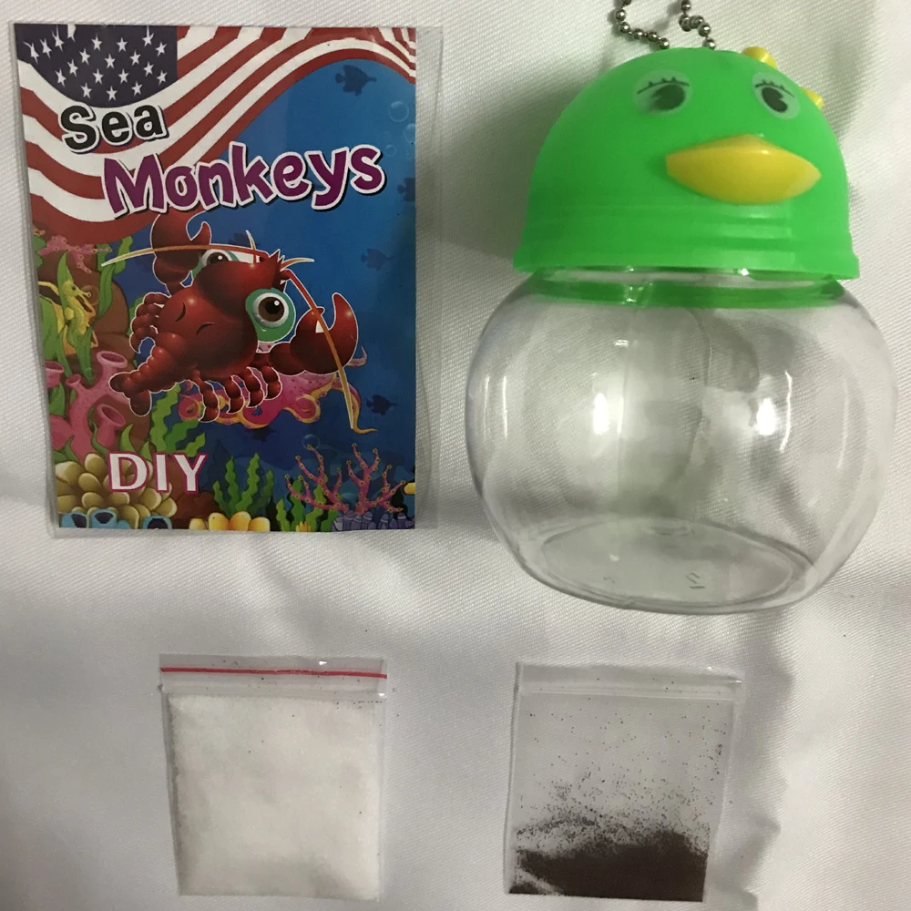 Scimmia Di Mare Uova Di Scimmia Con Un Acquario Kit Acquario Animali Vivi Magici Gamberetti Artemia Salata Divertente Giocattolo Di Natale Per Bambino