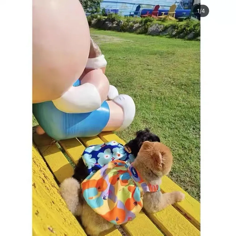 Одежда для домашних животных юбка маленьких собак пальто кошек летняя Милая