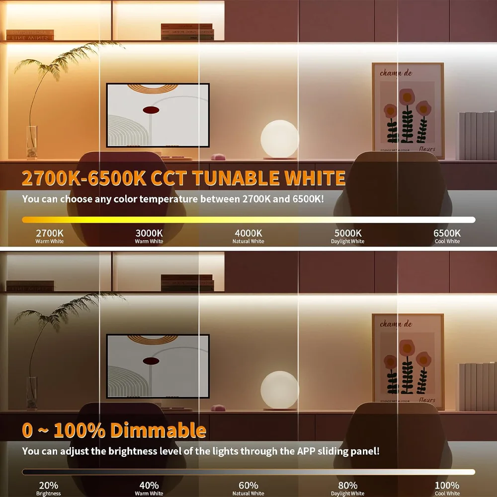 Tuya Zigbee 2CH Smart Led Dimmer Controller DC12V 24V CCT Одноцветная полоса TUYA APP Google Assistant Echo Plus Голосовое