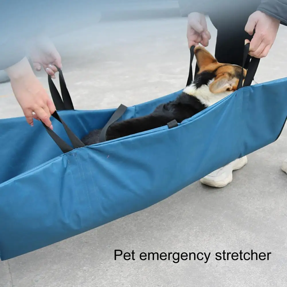 

Water-proof Ergonomics First Aid Rack Portable Dog Cat Carrier for Outdoor