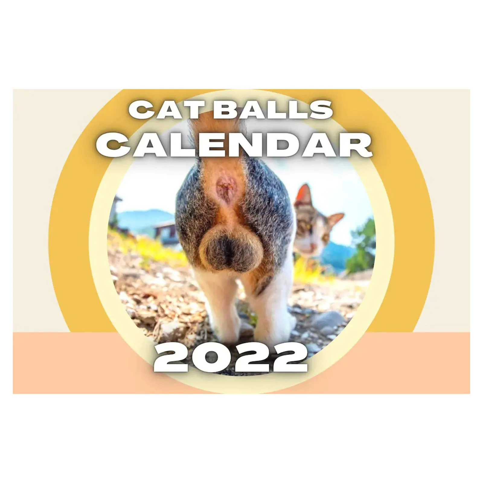 

Модель 2022 года, украшение для кошки, наклейка на стену, календарь