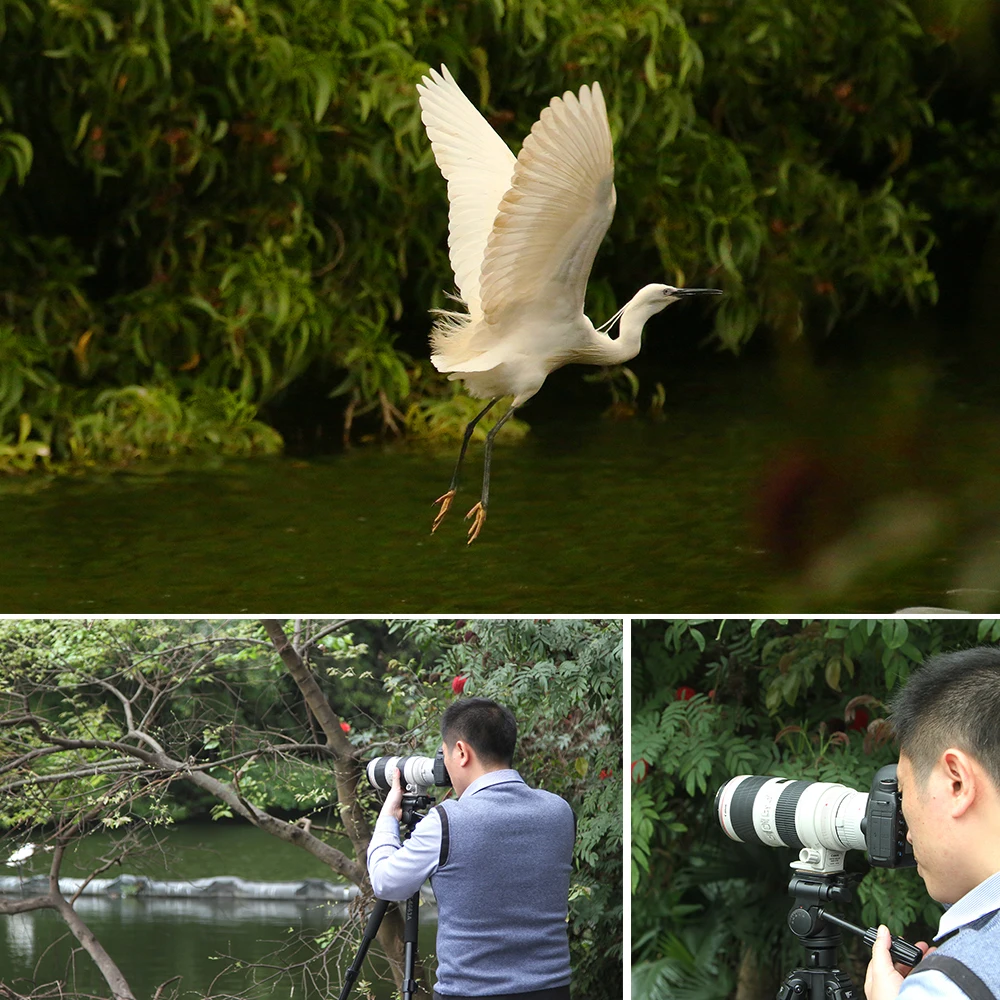 2.0X телеконвертер Viltrox C-AF 2X II с автофокусом для объективов Canon EOS EF 7DII 5D IV (art.: 3920dcbc46b07) - 3920dcbc46b07
