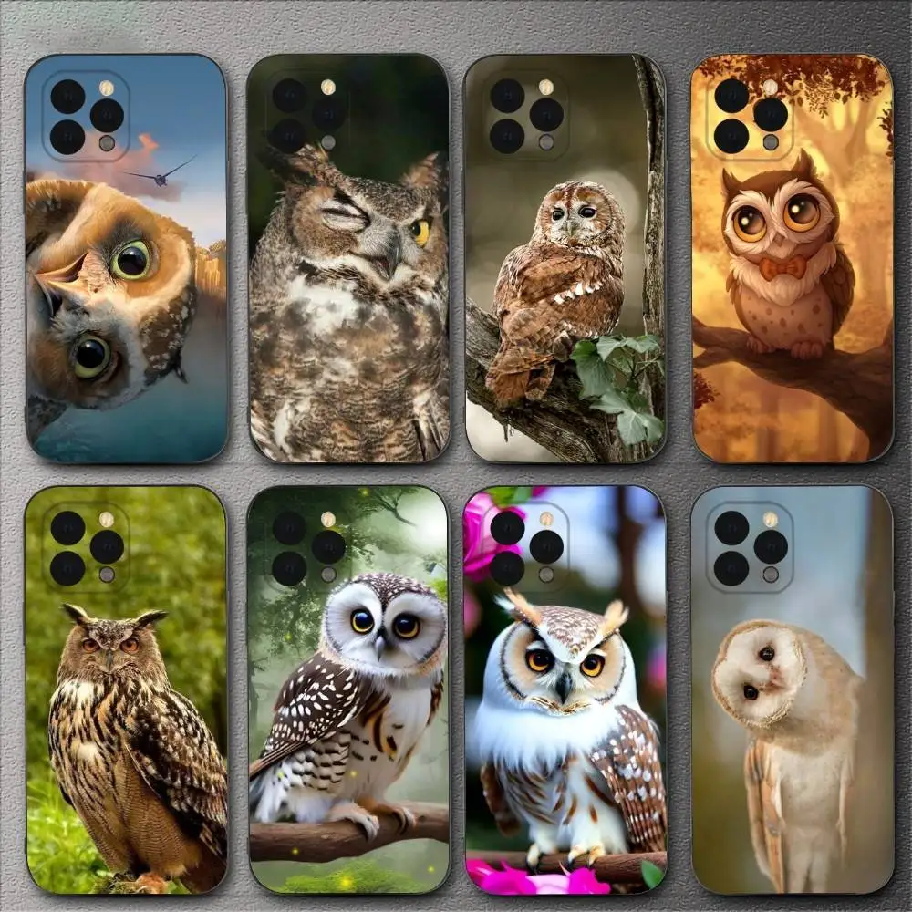 Фото Милый чехол для телефона «Птица Сова» для iPhone 16,15,14,13,12,11,XS,XR,X,8,7,Pro,Max,Plus,mini, силиконовый черный чехол №1