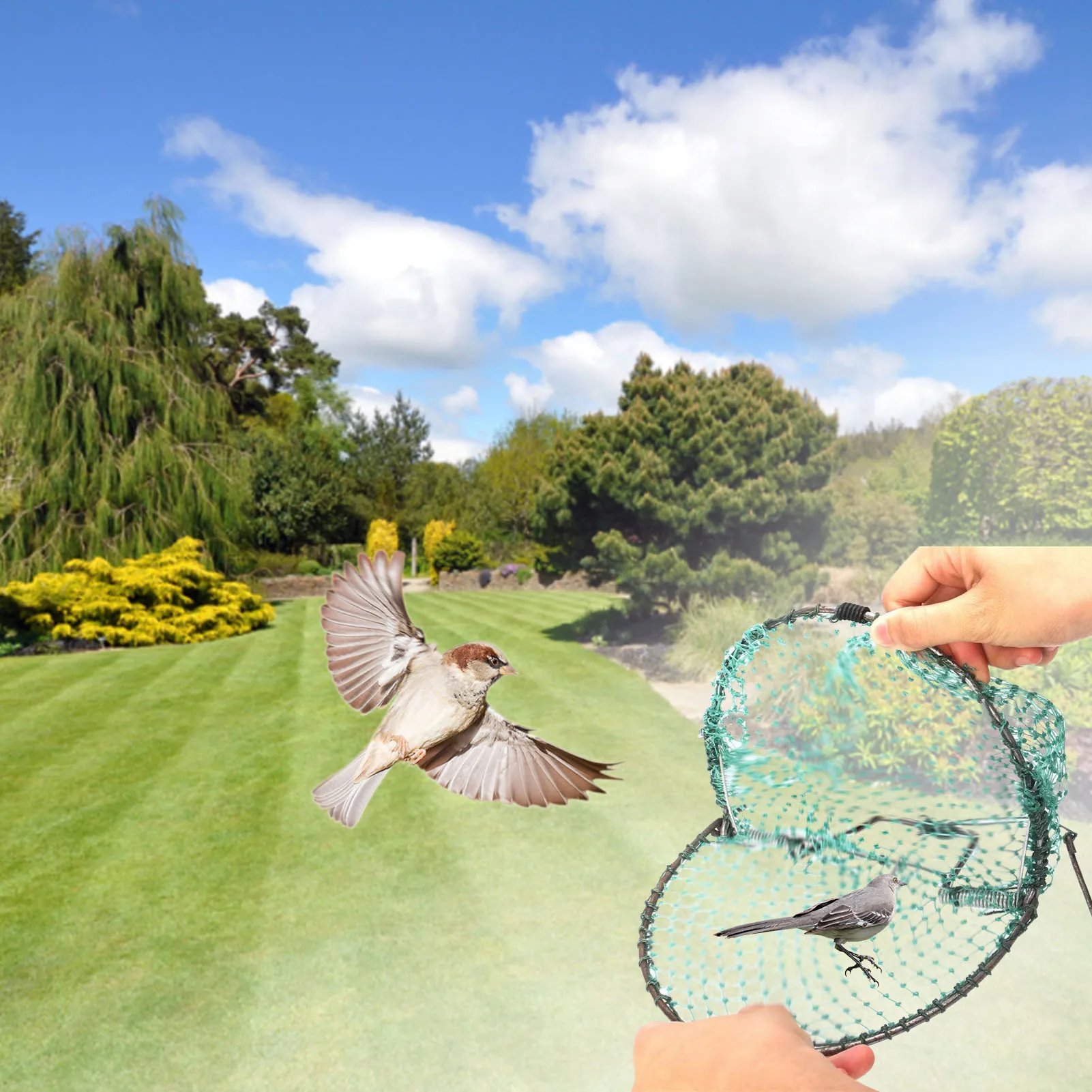 Сеть для птиц гуманная прямая ловушка портативная охотничья сеть ловли
