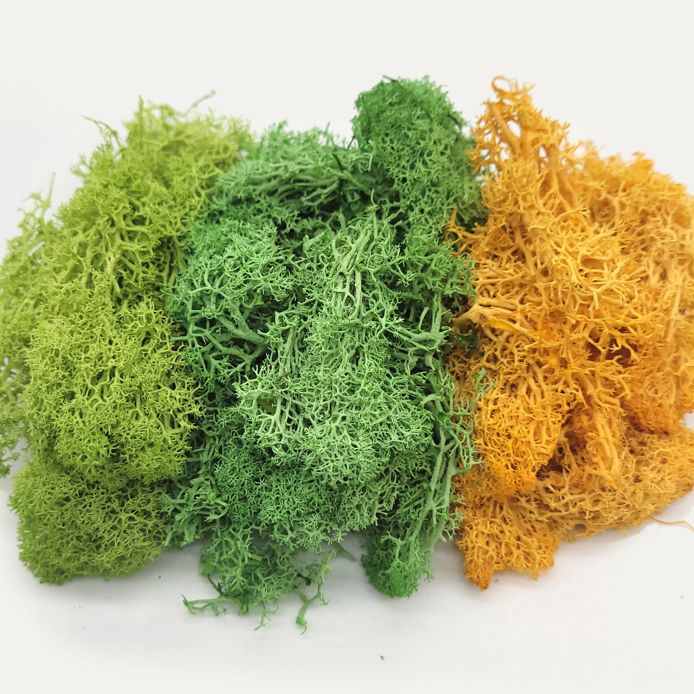 30 г 7 цветов кластер Моха лишайника для кустов модель деревьев листва масштабная модель строительного материала миниатюрная компоновка рейвея Диона 30 г 30 г 7 цветов кластер Моха лишайника для кустов модель деревьев листва масштабная модель строительного материала миниатюрная компоновка рейвея Диона 30 г