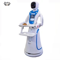 high tech smart autonomous humanoid service robot