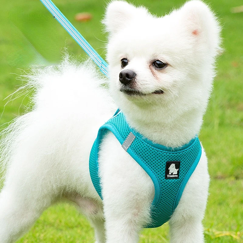 

Small Dog Leash Chest Back Design Lightweight Breathable Dog Collar 3XS-L