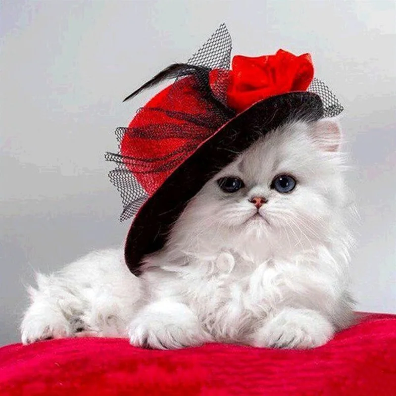 

Diamond Painting Animal Cute White Cat 5d Diy Mosaic Full Square Round Drill Diamant Of Rhinestone Daimond Embroidery Picture