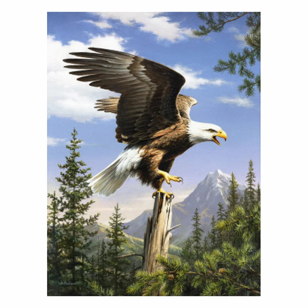 

DIY 5D diamond painting eagle cross stitch set full diamond embroidery mosaic animal pictures decorative gifts