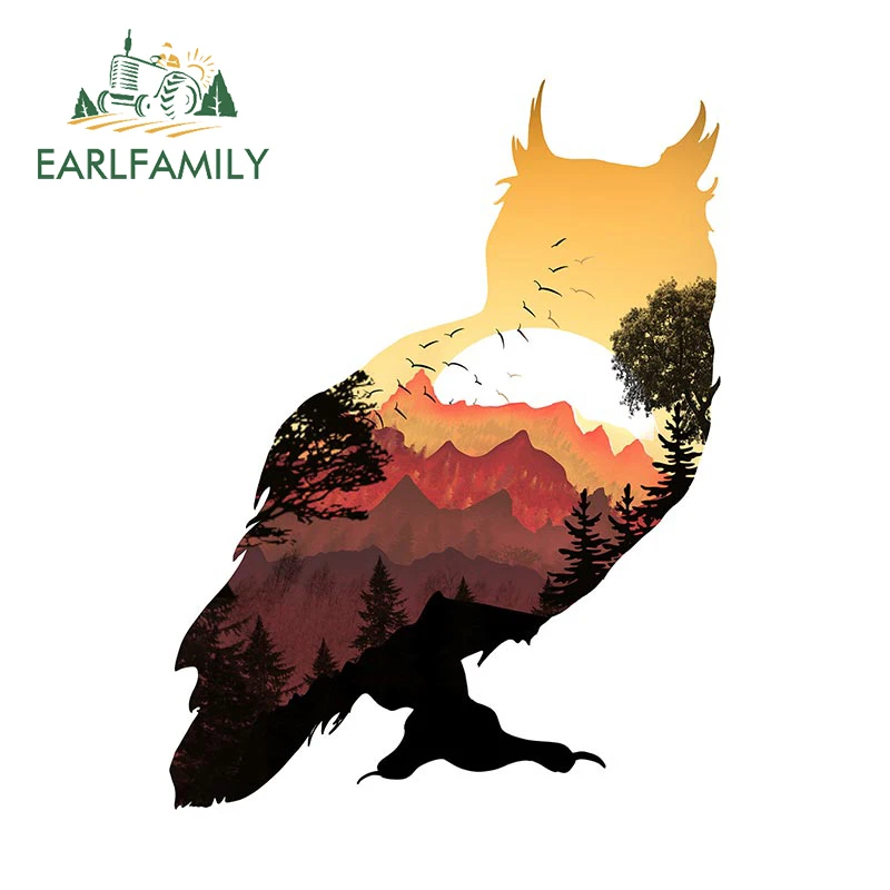 

EARLFAMILY 13 см X 9,8 см, забавная сова, автомобильные наклейки, скейтборд, бампер, окна, кондиционер, Солнцезащитная наклейка, фургон, автомобильные аксессуары