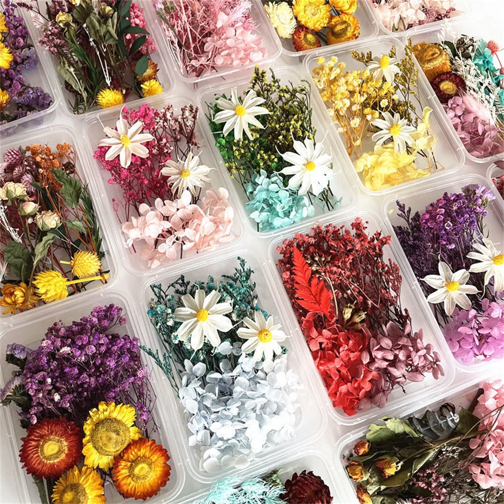 Натуральные сухие цветы растения 1 коробка натуральные красочные материалы для