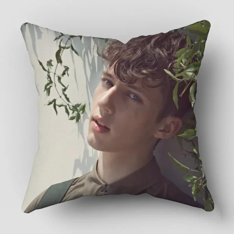 

Наволочка Musife Troye Sivan Art Square