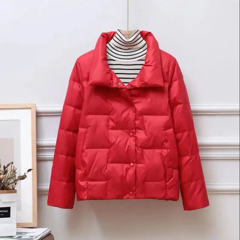 2023 New Down Cotton Jacket for Women's Winter Wear Korean Version Loose Small Padded Jacket for Women's Short Lightweight Parka