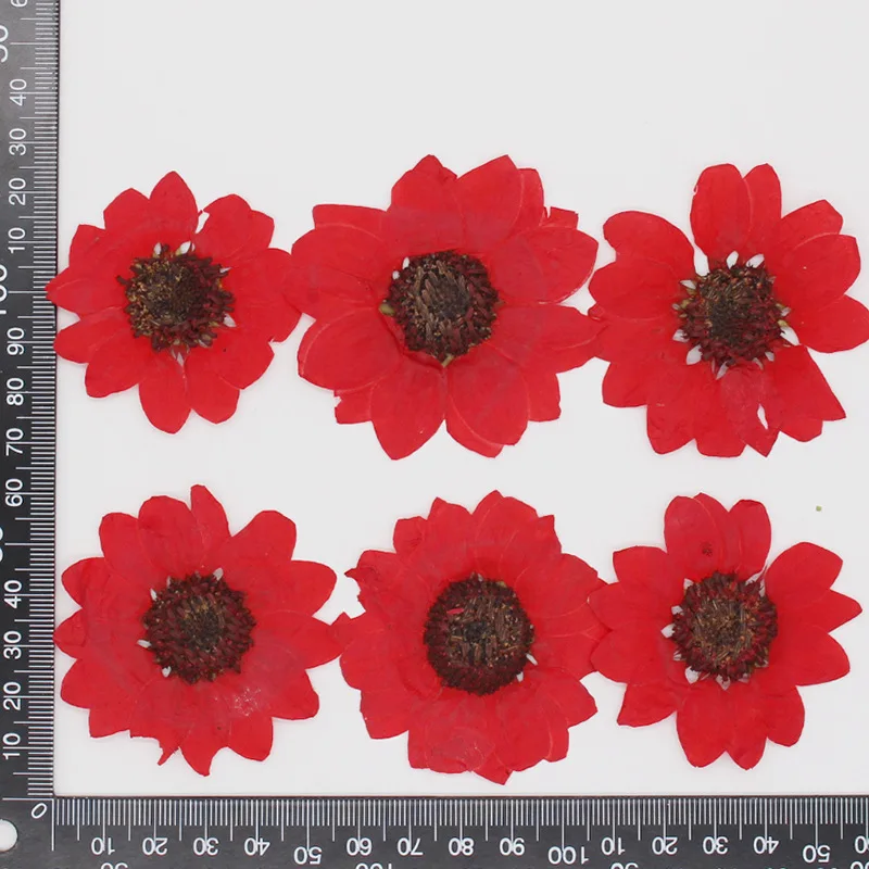 

Натуральные сушеные цветы подсолнуха NYAConfetti 24 шт