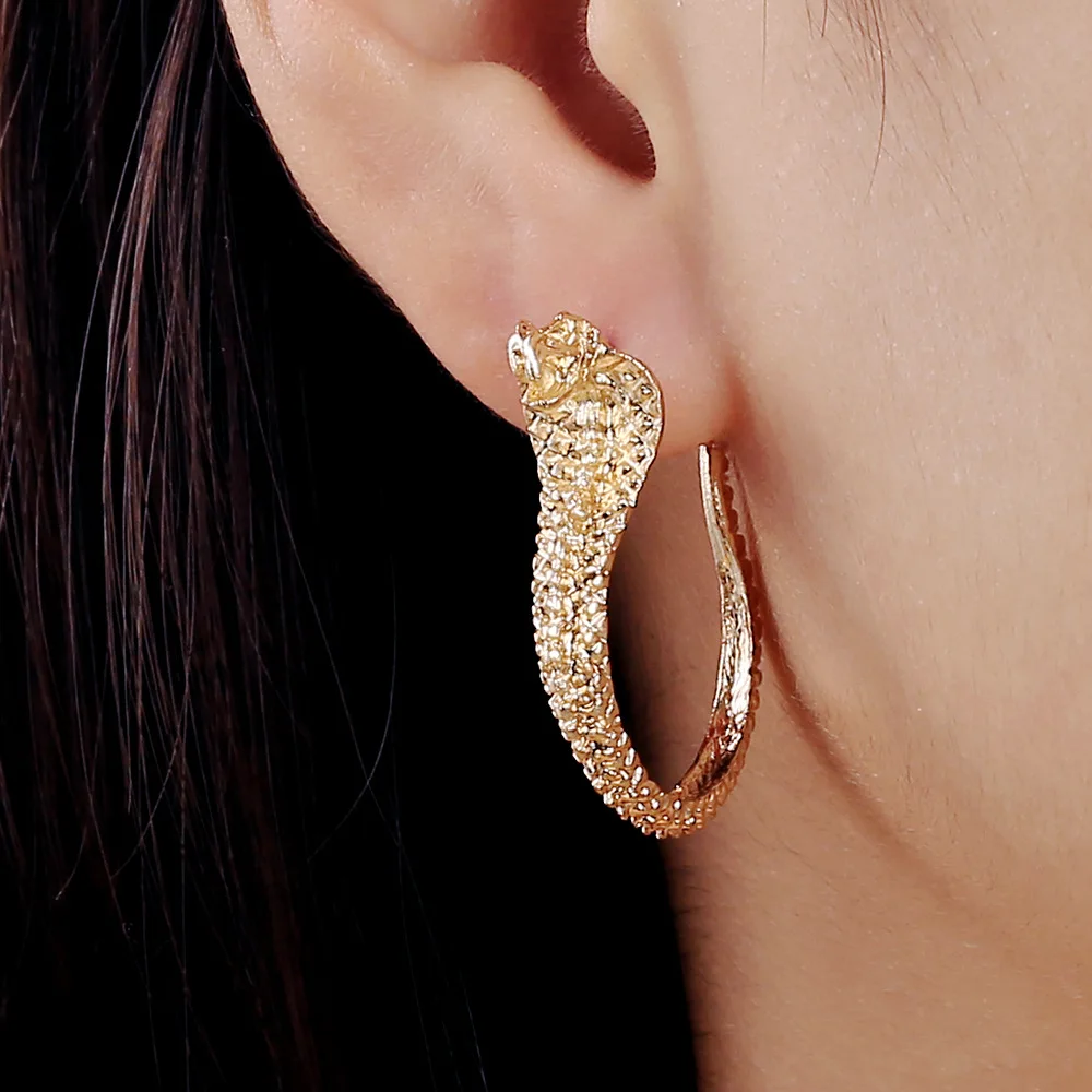 

Fashion Metal Stud Earrings for Women In Office Style Geometric and Snake Shaped Earrings Simple Eardrops Wholesale