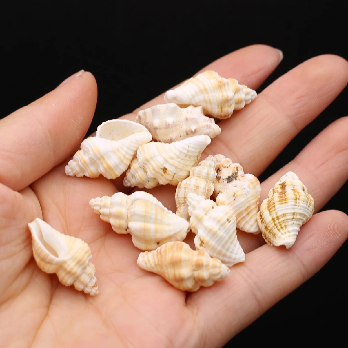 

Natural Small Sea Snail Shell Beads Loose Spacer Bead for Fashion Jewelry Making Diy Necklace Bracelet Accessories
