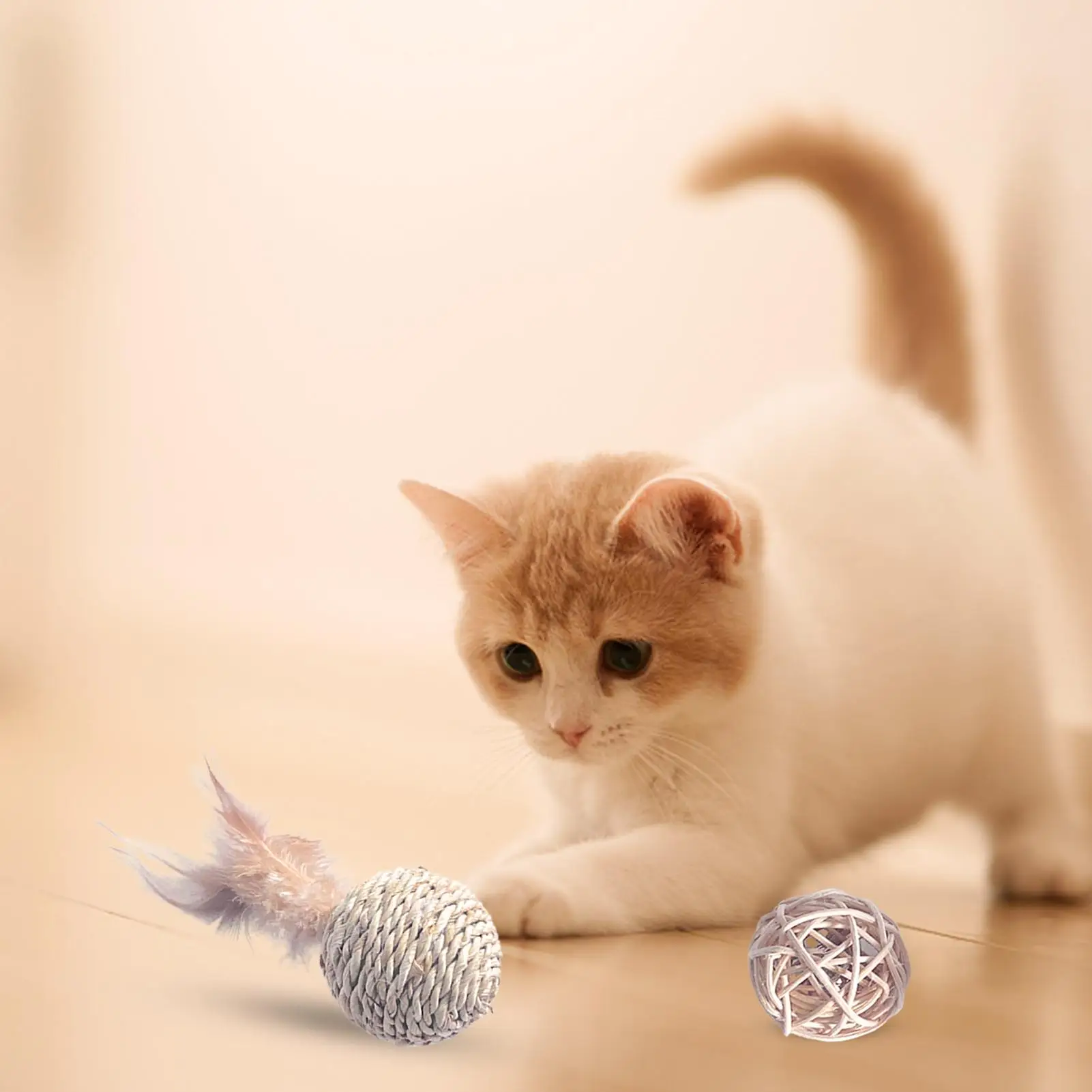 

Cat Ball Toys Pet Rattan Balls Feathers Quiet Cat Exercise Toys Kitten Cat Interactive Ball for Playing Training Chasing Hunting