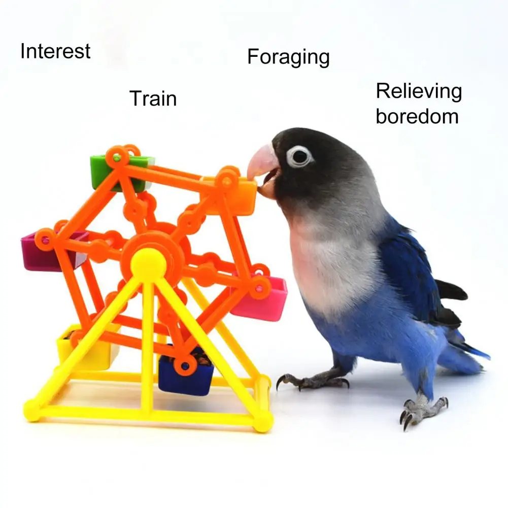 

Parrot Toy Practical Lightweight Fine Workmanship Parrot Windmill Toy Bird Feeder Pet Supplies Bird Foraging Toy Bird Toy