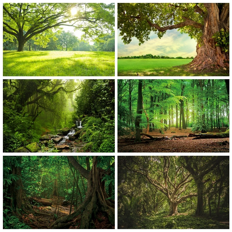 Tropical Forest Scenery Green Leaves Backdrop Adventure Photography Background Photo Studio Photographic Decoration Photozone