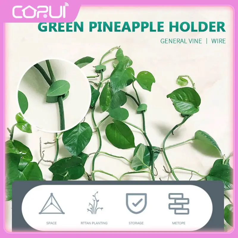 

/set Rattan Vine Bracket Invisible Green Clip Green Vines Leaf Clips Portable Self Adhesive Plants Fixed Buckle Plastic