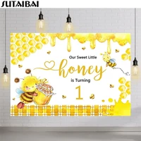 sweet honey bee theme 1st birthday backdrop bee day birthday party decorations photo background first birthday party photo booth