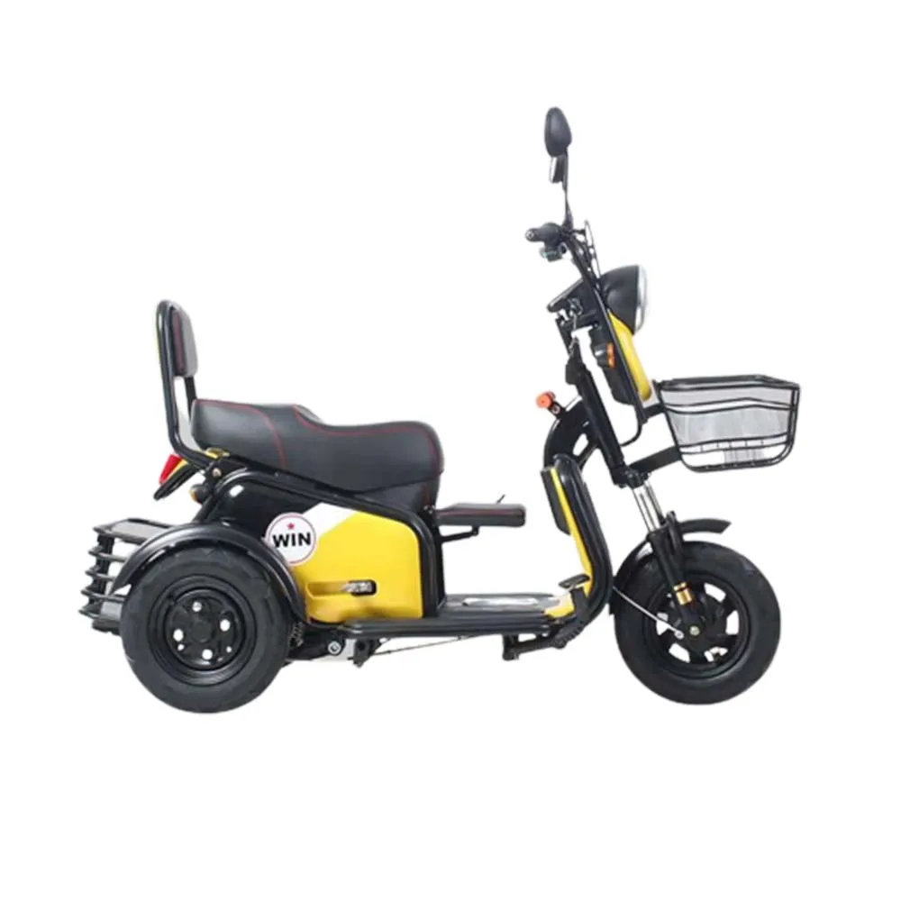 

48/60v Electric Tricycle Lithium Battery Riding Tools Differential Motor Vacuum Tire Anti Sliding Slope Controller Auto-Rickshaw