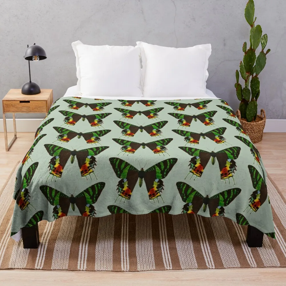 Мадагасканская молька заката - Кризиридия rhipheus винтажная мотылка плед роскошные