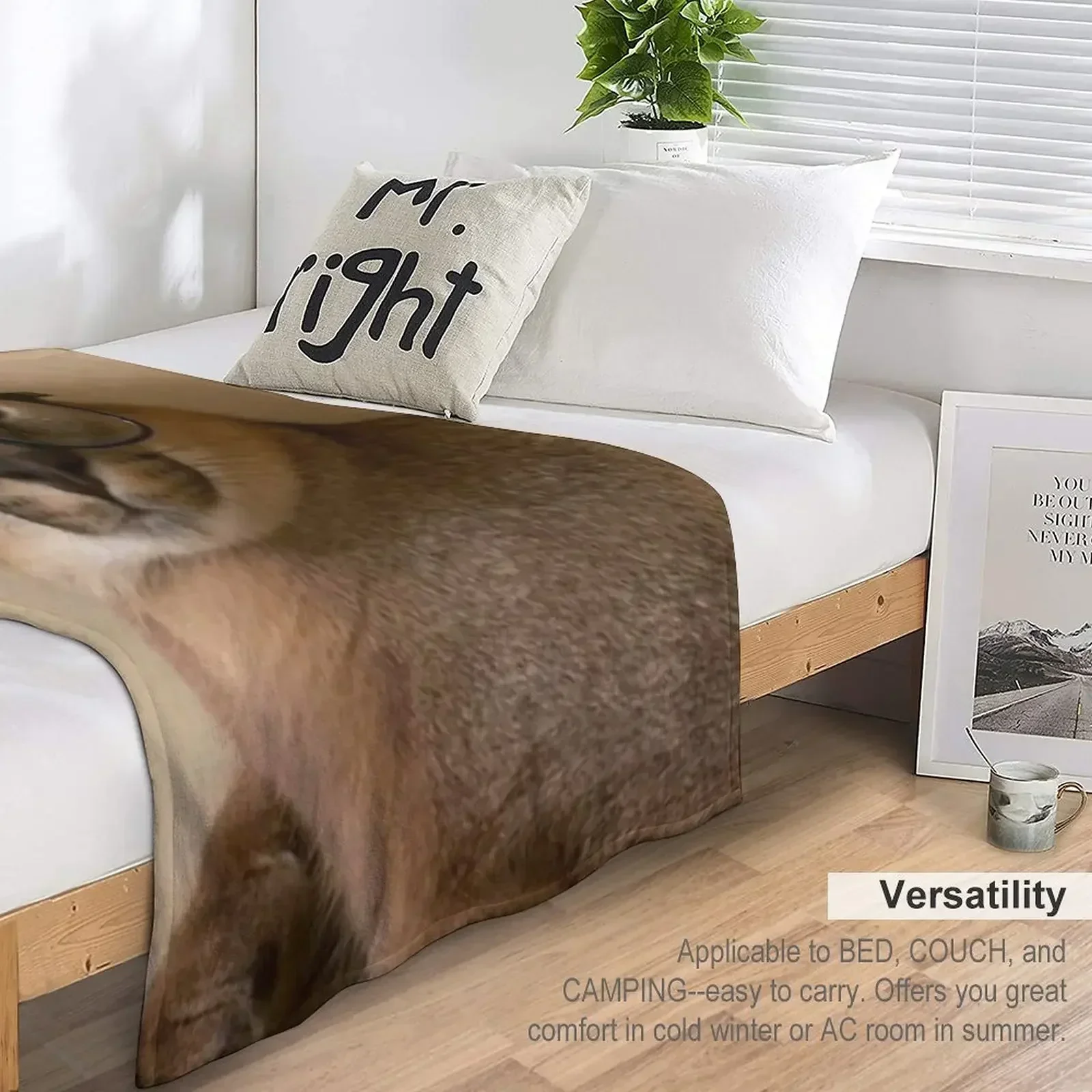 Новое одеяло Studious Floppa роскошные дизайнерские забавные подарочные одеяла