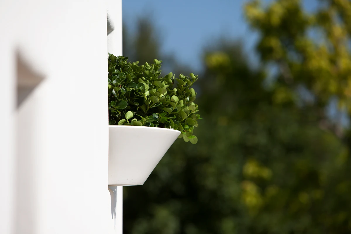 Высокое качество итальянский дизайн Лидер продаж пластиковая прочная цветная