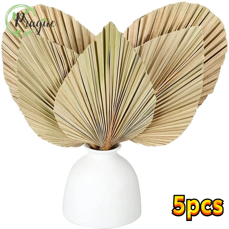 

Dried Palm Leaves Room Decor 5 Pieces - 16Inch H X 10Inch W Large Natural Palm Leaf Decor For A Beautiful Boho Look