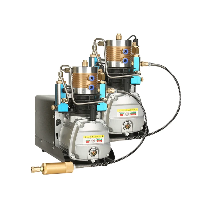 

220V micro air 300 bar pcp high pressure compressor 4500psi