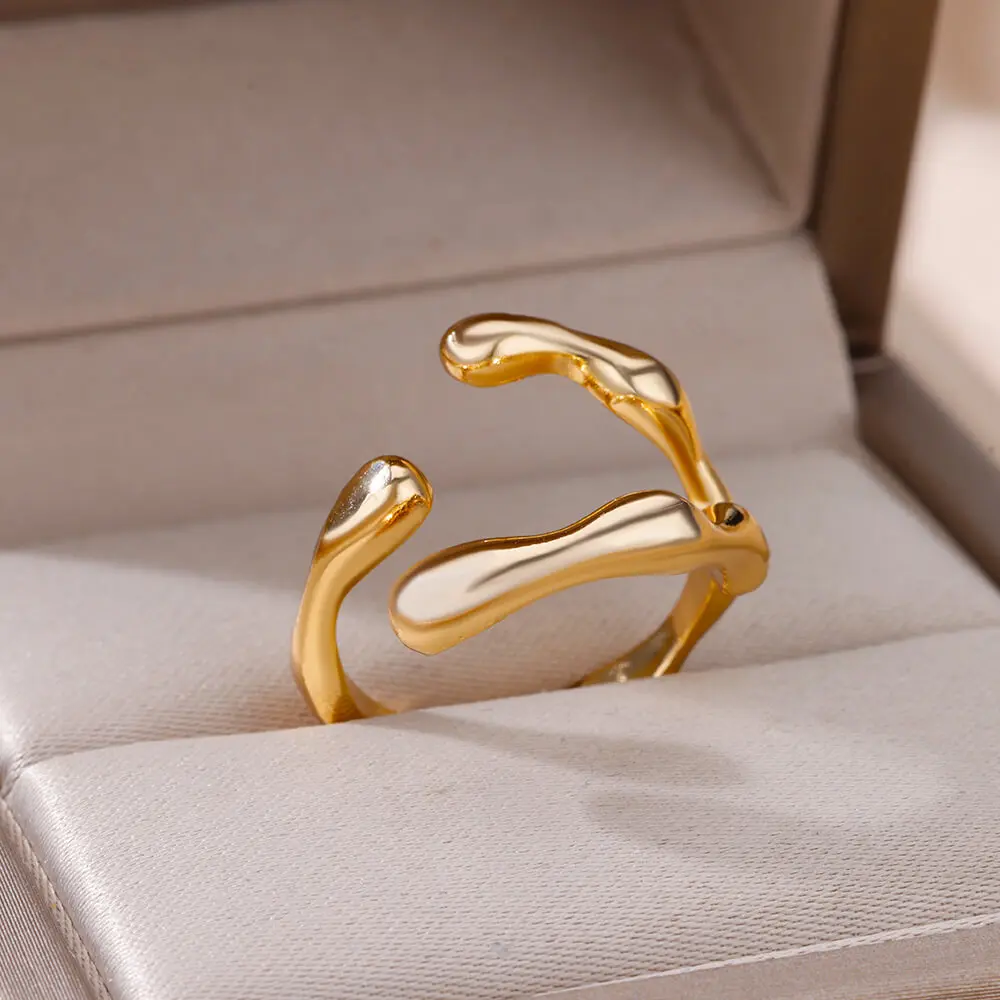 

Stainless Steel Rings for Women Jewelry Vintage Decoration Popular Summer Accessories Punk Irregular Double Layer Finger Ring
