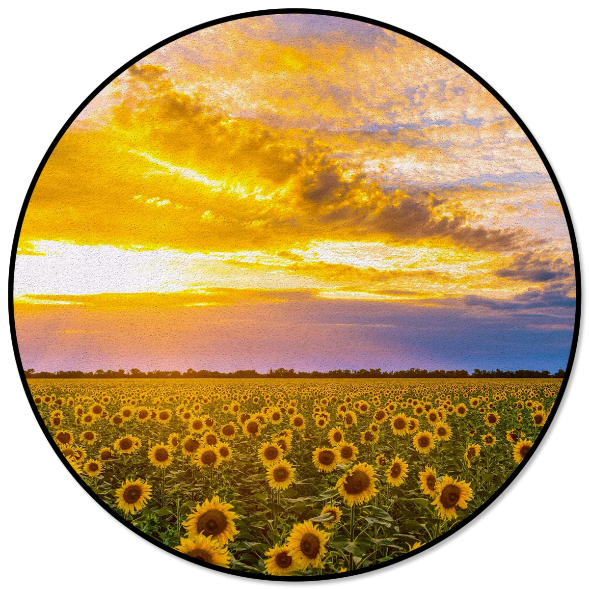 

Sunrise Sunflower Flower Field Rugs And Carpets For Home Living Room Room Decoration Teenager Bedroom Decor