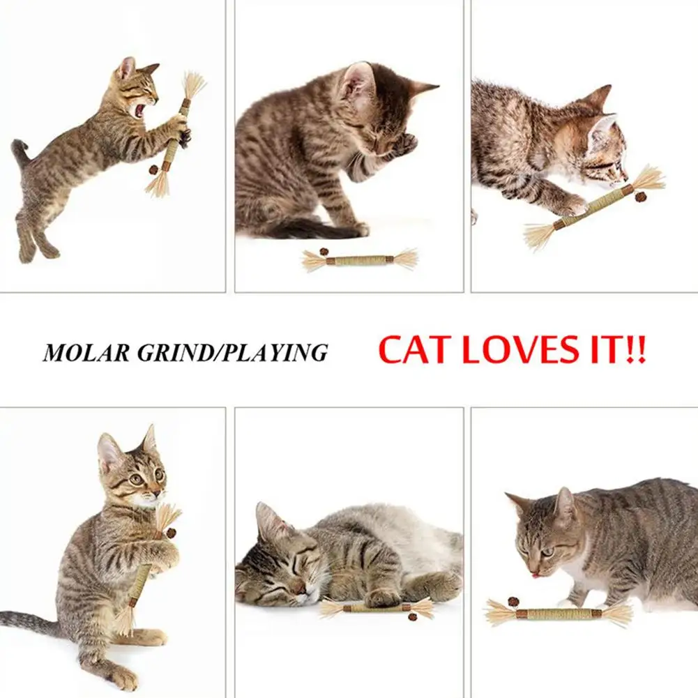 

NEW Cat Polygonum Molar Stick Self-healing Teeth Cleaning Toy Pet Anxiety Relief Calming Aid Pet Supplies