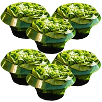 plant protection collars reliable and durable green plant pot base protective cover provide effective snail protection for your