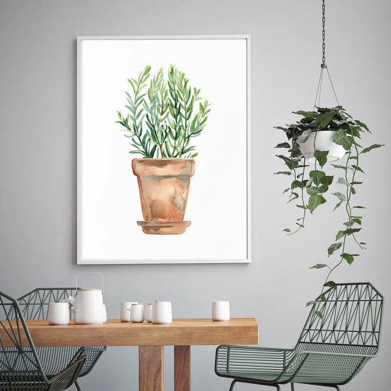 Акварельные травы орегано петрушка розмарин постеры и принты Картина на холсте