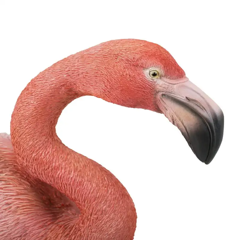 

Flamingo Standing