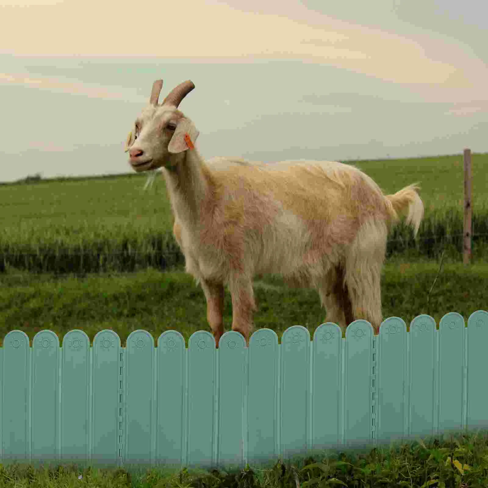 

1 Bag of Plastic Fence Garden Decor Garden Fence Ornament Miniature Fence Decor