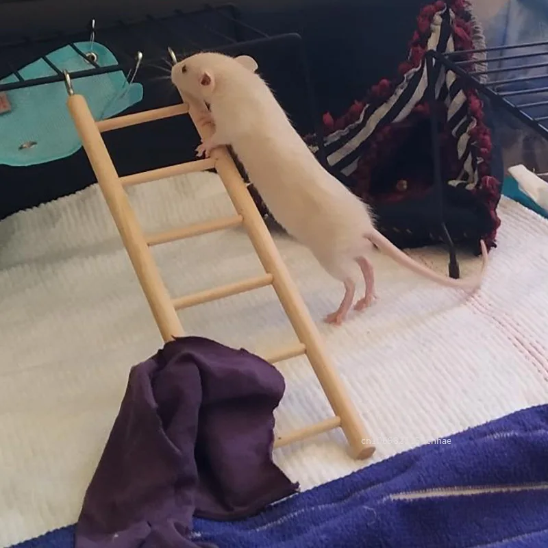 Игрушки для хомяков попугаев подвесная клетка лестницы восхождения с попугаями